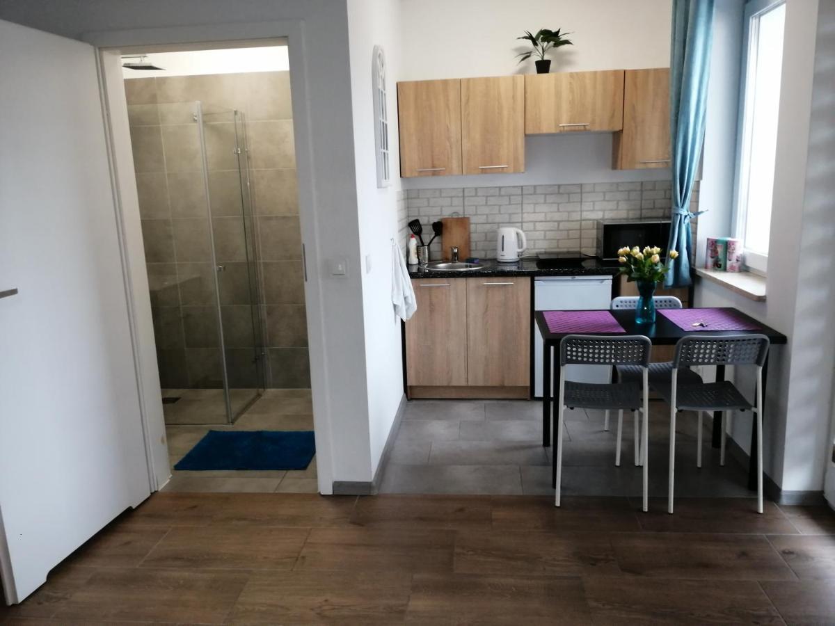 Pokoje - Studio Gliwice I Przy Onkologii Extérieur photo