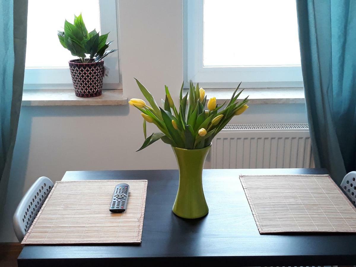 Pokoje - Studio Gliwice I Przy Onkologii Extérieur photo